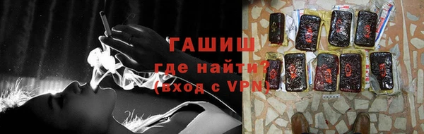 хмурый Магас