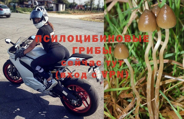гидропоника Липки