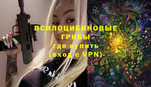 хмурый Магас