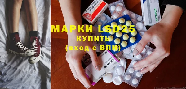 хмурый Магас
