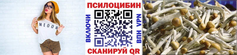 Псилоцибиновые грибы Psilocybine cubensis  сколько стоит  Шиханы 